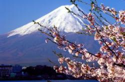 富士山下的隐忧打卡热潮背后的生态与文化挑战