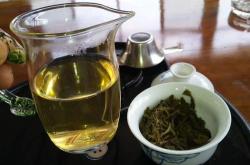 跟着达人游古茶山，品茗勐腊贡茶味