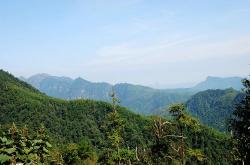 五指峰乡人大绘就生态美景与经济繁荣的共生画卷