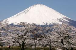 富士山下的无奈打卡热潮与自然景观的拉锯战