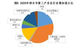 发挥资本市场作用培育和壮大新质生产力