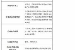 恒丰银行大理分行贷款管理问题分析与建议