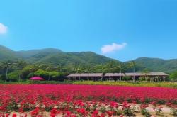 探索孟夏时节的揽月湾旅游景区