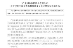 证监会再挥监管之剑深度解析最新立案行动