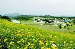 宁夏银川万人旅行团队畅游关山草原景区