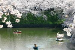 穿越时空的皇家避暑胜地——承德避暑山庄深度探索