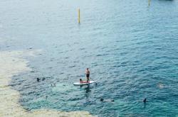 探索深海奇境，上海海洋水族馆门票背后的海洋世界冒险