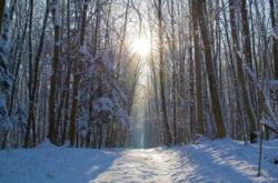 探秘东北雪原下的浪漫艺术殿堂——牡丹江影院，电影与冰雪的完美邂逅