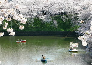 穿越时空的皇家避暑胜地——承德避暑山庄深度探索