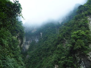 探秘山西的千年圣地——五台山，云雾缭绕的佛教宝地