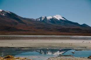 探秘云端仙境庐山，三天两夜的清凉之旅