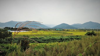 穿越宁夏腹地，探索固原的千年历史与绝美风光——固原旅游景点深度指南