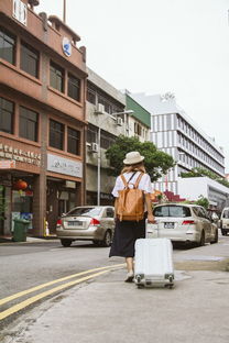 探秘繁忙背后的浪漫——大连交通微观察，拥堵中的城市生活与独特魅力